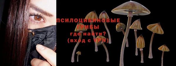 гашик Абаза