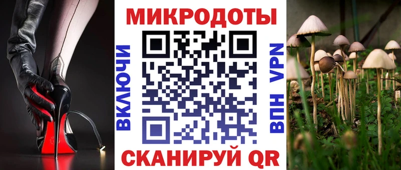 даркнет формула  закладки  Каменск-Уральский  Галлюциногенные грибы Psilocybine cubensis 