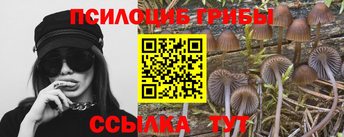 Галлюциногенные грибы мухоморы Каменск-Уральский