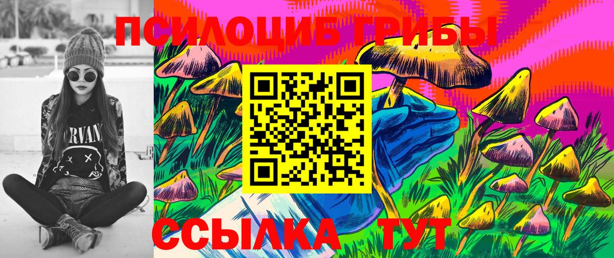 Каменск-Уральский  Галлюциногенные грибы Psilocybe  Вход с VPN  Псилоцибиновые грибы ЛСД 